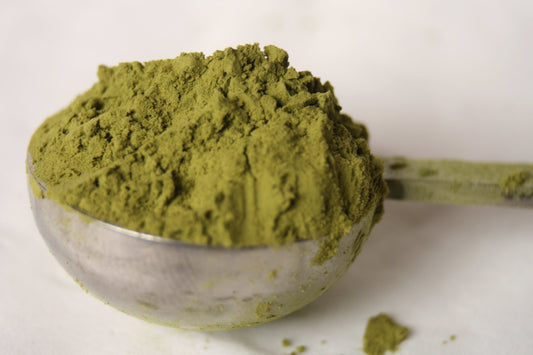 Matcha Ise Organic 40g