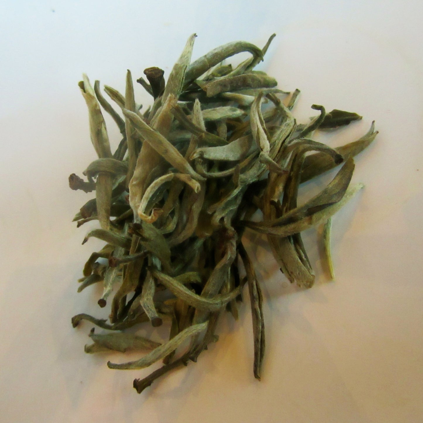 Bai Hao Yin Zhen (Silver Needle) White Tea Organic 50g